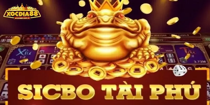 Chia sẻ những kỹ thuật đặt cược hiệu quả
